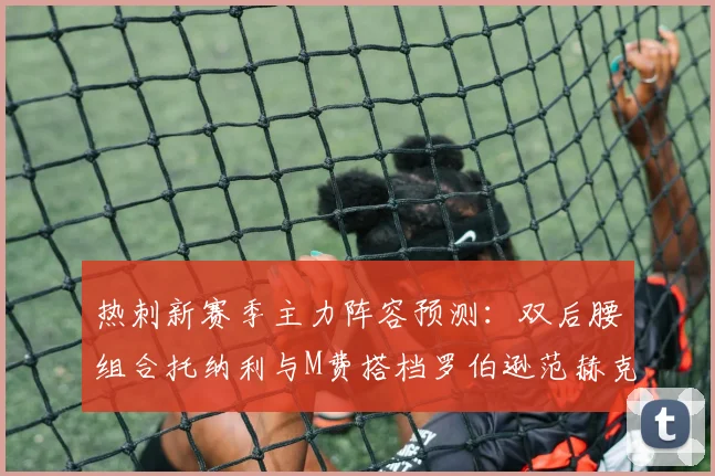 热刺新赛季主力阵容预测：双后腰组合托纳利与M费搭档罗伯逊范赫克加盟